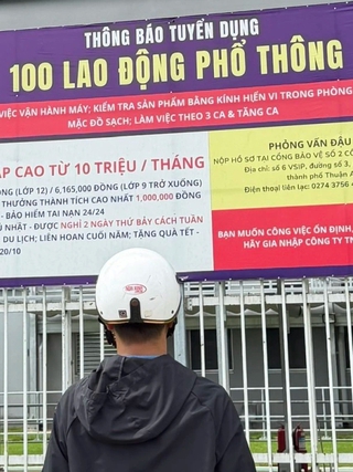 Thị trường lao động TP.HCM đang 'thừa cử nhân, thiếu lao động kỹ thuật'