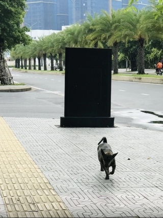 Đeo rọ mõm cho chó: Văn minh từ những điều tưởng nhỏ