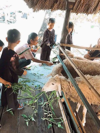 Những nông trại giữa lòng TP.HCM khiến người trẻ say đắm
