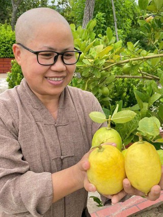 Người gieo mầm thiện nguyện nơi cửa thiền