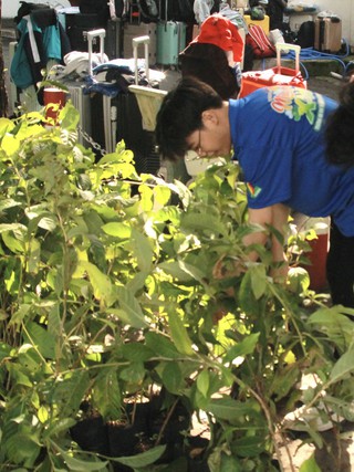 Sinh viên tình nguyện chuyển giao phần mềm hỗ trợ đắc lực cho địa phương