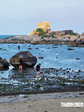 Cảnh báo nguy cơ tẩy trắng san hô ở vịnh Nha Trang