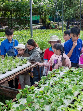 Hành trình 'An Phú Đông trong trái tim tôi'