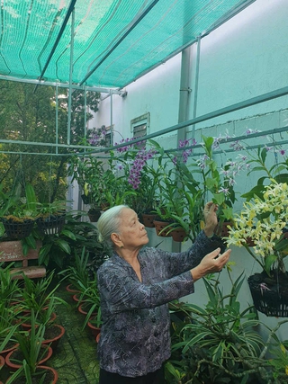 Cách cụ bà U.90 kiếm tiền làm từ thiện