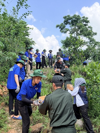 Mang màu xanh về với Tà Lài