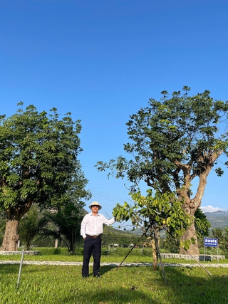 Cây cà phê trên trang sách và Vườn di sản Yersin
