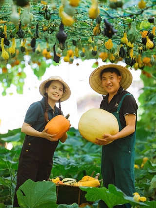 Bộ ảnh cưới giữa khu vườn cây trái trĩu cành do cặp đôi tự trồng