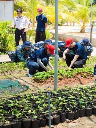 Đất liền gửi triệu mầm xanh ra Trường Sa