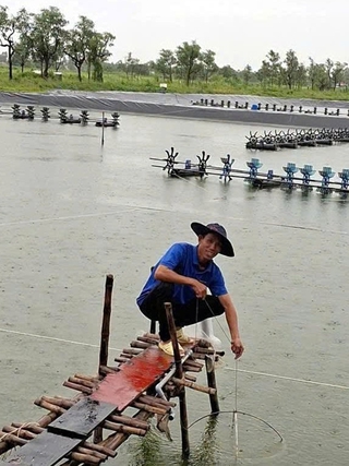Kết hợp 4 vật nuôi trên 1 ha đất, thu lãi gần 400 triệu đồng/năm