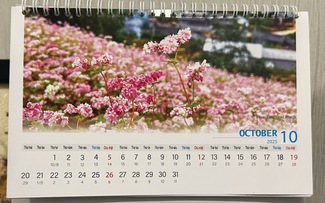 Hôm nay ngày Phụ nữ Việt Nam 20 tháng 10: Theo lịch âm có gì thú vị?