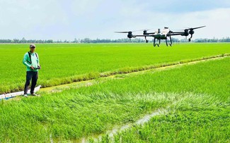 Tiềm năng kinh tế tầm thấp của Việt Nam