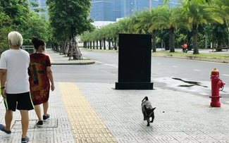 Không để người dân bất an với nạn chó thả rông