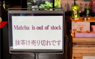 Cơn sốt matcha toàn cầu khiến Nhật Bản ‘đuối sức’