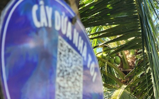 Quét mã QR cho... dừa