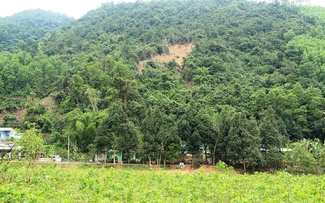 Sống trong nỗi lo núi lở