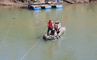 Cầu sập, người dân bám dây vượt sông mưu sinh