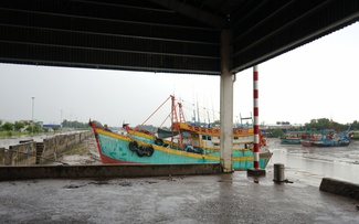 Xử lý nghiêm cán bộ nếu tàu cá không đủ điều kiện vẫn được 'ra khơi'