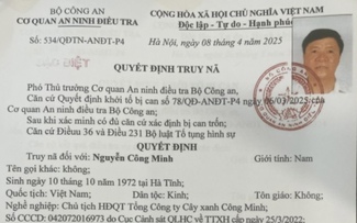 Đề nghị truy tố vắng mặt Chủ tịch HĐQT Công ty cây xanh Công Minh