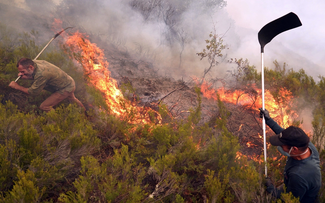 Vì sao 2025 là một trong 3 năm nóng nhất lịch sử dù có La Nina?