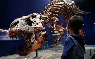 Phát hiện bí mật đằng sau sự thống trị của khủng long bạo chúa