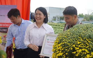 Cúc mâm xôi nở sớm ở miền Tây: Phong trào giải cứu hoa tết lan khắp nơi