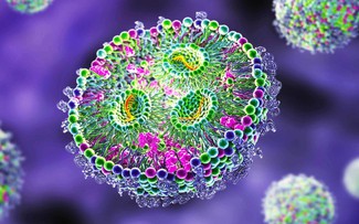 Phát hiện dạng sống mới trong cơ thể người