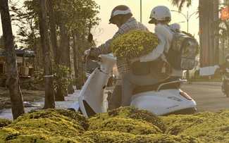 Hoa tết vượt lũ, nhà vườn nói thẳng: 'Chịu lỗ công để bà con có hoa chơi tết'