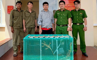 Một người dân tự nguyện giao nộp 10 con rồng Nam Mỹ cho công an