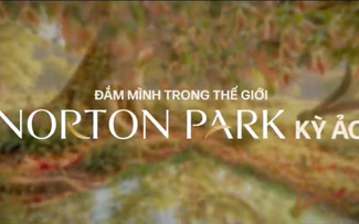 Norton Park in Sync: Cuối tuần khám phá thế giới đa giác quan giữa lòng TP.HCM