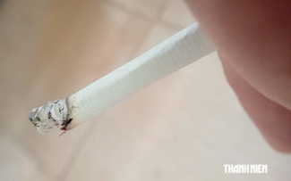 Thuốc lá dễ nghiện, khó cai hơn rượu và cần sa