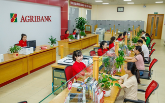 Agribank triển khai giảm lãi suất cho vay tới 2,0%/năm, hỗ trợ người dân và doanh nghiệp