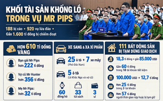 Vụ án Mr Pips: 'Kho vàng' 610 tỉ, cả trăm siêu xe, đồng hồ, túi xách xa xỉ 