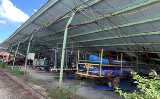 Bán đấu giá dự án nuôi bò hơn 4.500 tỉ đồng ở Hà Tĩnh