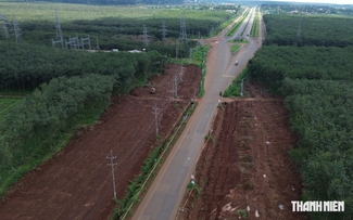 Đại lộ kết nối sân bay Long Thành: Phía tây sắp về đích, phía đông đã thành hình