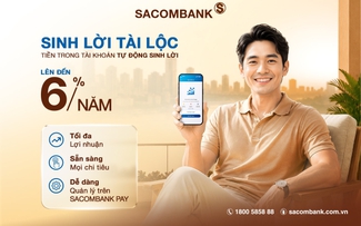 Tiền nhàn rỗi trong tài khoản có thể sinh lời đến 6%/năm Tiền nhàn rỗi trong tài khoản có thể sinh lời đến 6%/năm