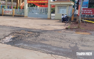 Đồng Nai: 'Ổ voi' trước cổng trường