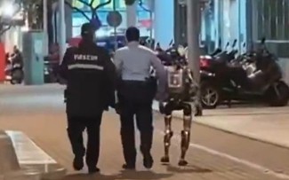 Chuyện lạ: Cảnh sát bắt giữ robot hình người ngay trên đường phố