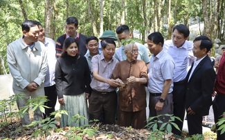 Tặng 3.000 cây sâm Ngọc Linh cho thanh niên miền núi