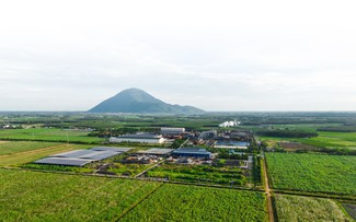 Công ty hạt nhân Tập đoàn TTC đăng ký bán ra hơn 43 triệu cổ phiếu SBT