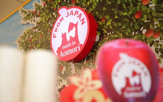 Táo Aomori và chiến lược bền vững hơn một thập kỷ tại Việt Nam