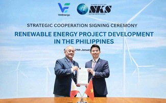 VinEnergo và khát vọng doanh nghiệp năng lượng tái tạo hàng đầu thế giới