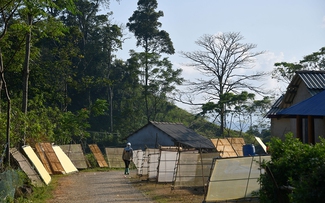 Giấy giang Pà Cò, khi hồn rừng về phố thị