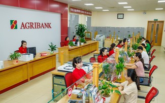 Agribank phát 200.000 cảnh báo giao dịch đáng ngờ, khách dừng chuyển hơn 360 tỉ đồng