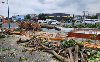 Bắt đầu đốn hạ, di dời cây xanh để làm metro số 2