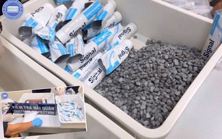 Chuyên án bí số VN10: Truy nã người thuê tiếp viên hàng không xách ma túy