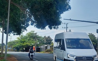 Tán cây che tầm nhìn