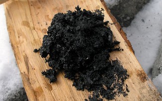 Người Neanderthal biết chế tạo dược phẩm từ 200.000 năm trước?