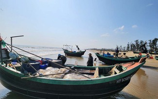 Mùa lộc biển: Những khoang thuyền chở 'vàng trắng' về bờ