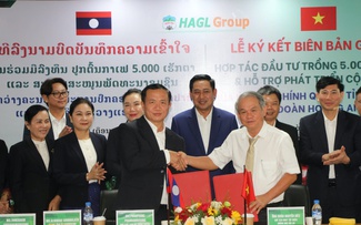 HAGL bắt tay tỉnh Champasak phát triển 5.000 ha cà phê