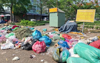 Đổ rác tràn lan dưới biển cấm
